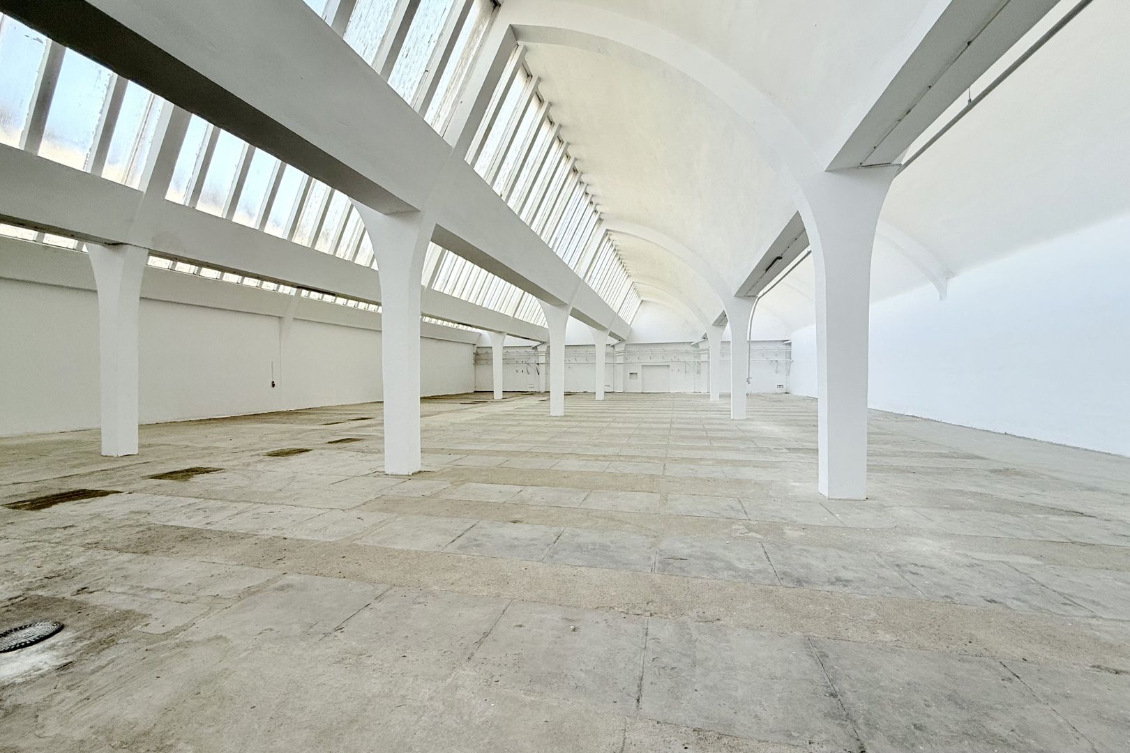 Hală industrială de producție/depozitare – Jilava, Str. Gării, 1797 mp - Poză 8