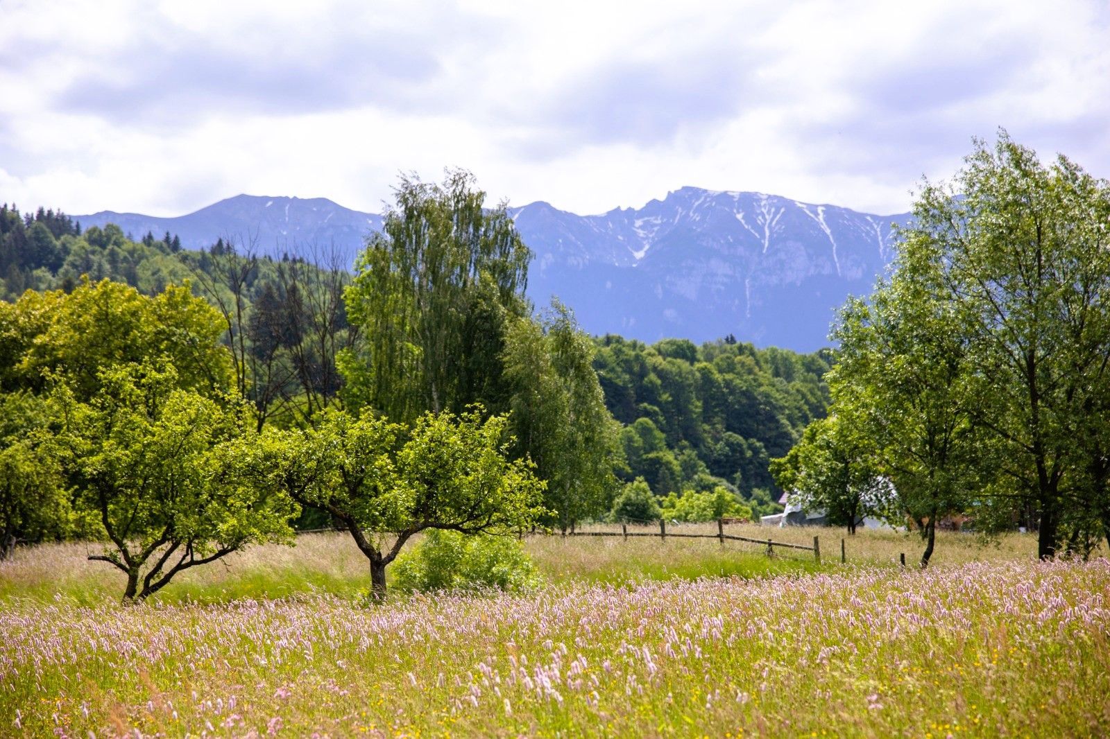 Teren intravilan plat in Bran, 1000 mp, vedere către Bucegi, utilitati - Poză 1
