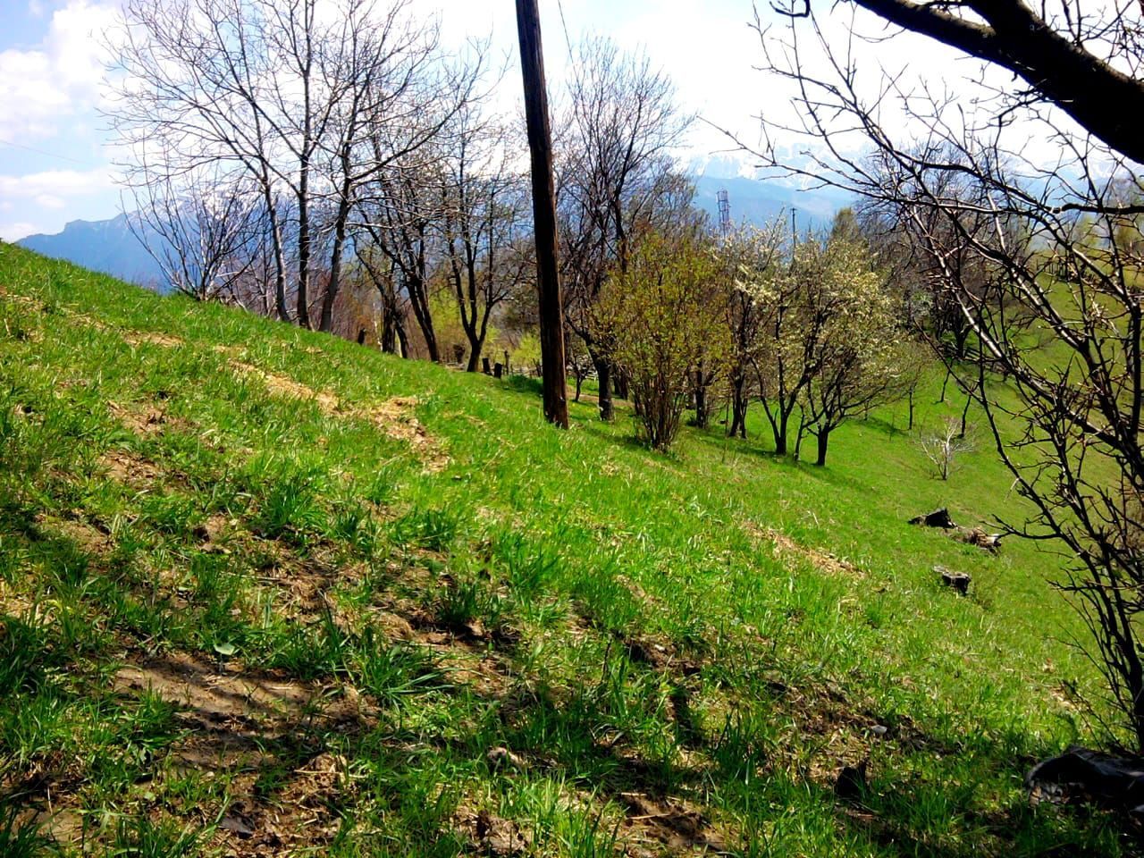 teren intravilan in zona Magura Bran - Poză 22