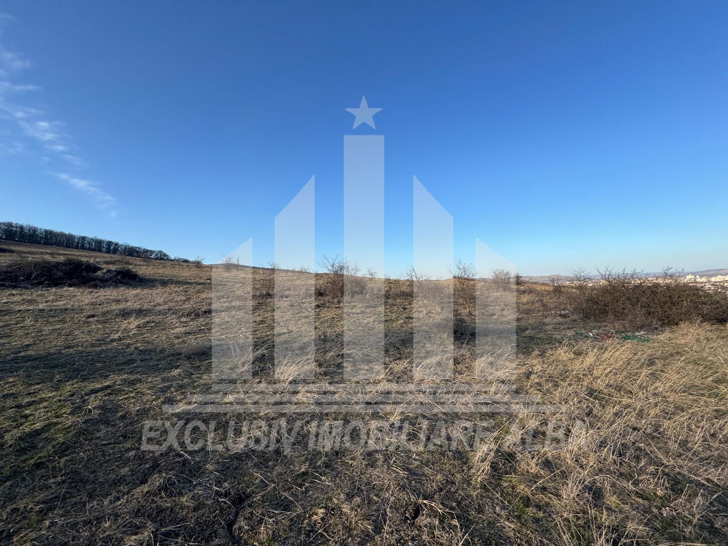 Teren intravilan | De vanzare | 1000 mp | 26 ml deschidere | Paclisa - Poză 2