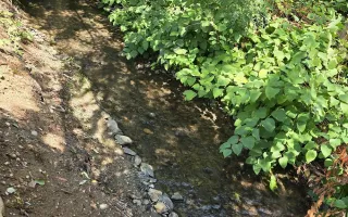 Casă de vânzare Baia Mare -zona Valea Borcutului - Poză 20