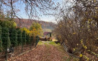 TEREN 1095MP -PODIS -DN 2G- BACAU -MOINESTI - Poză 5