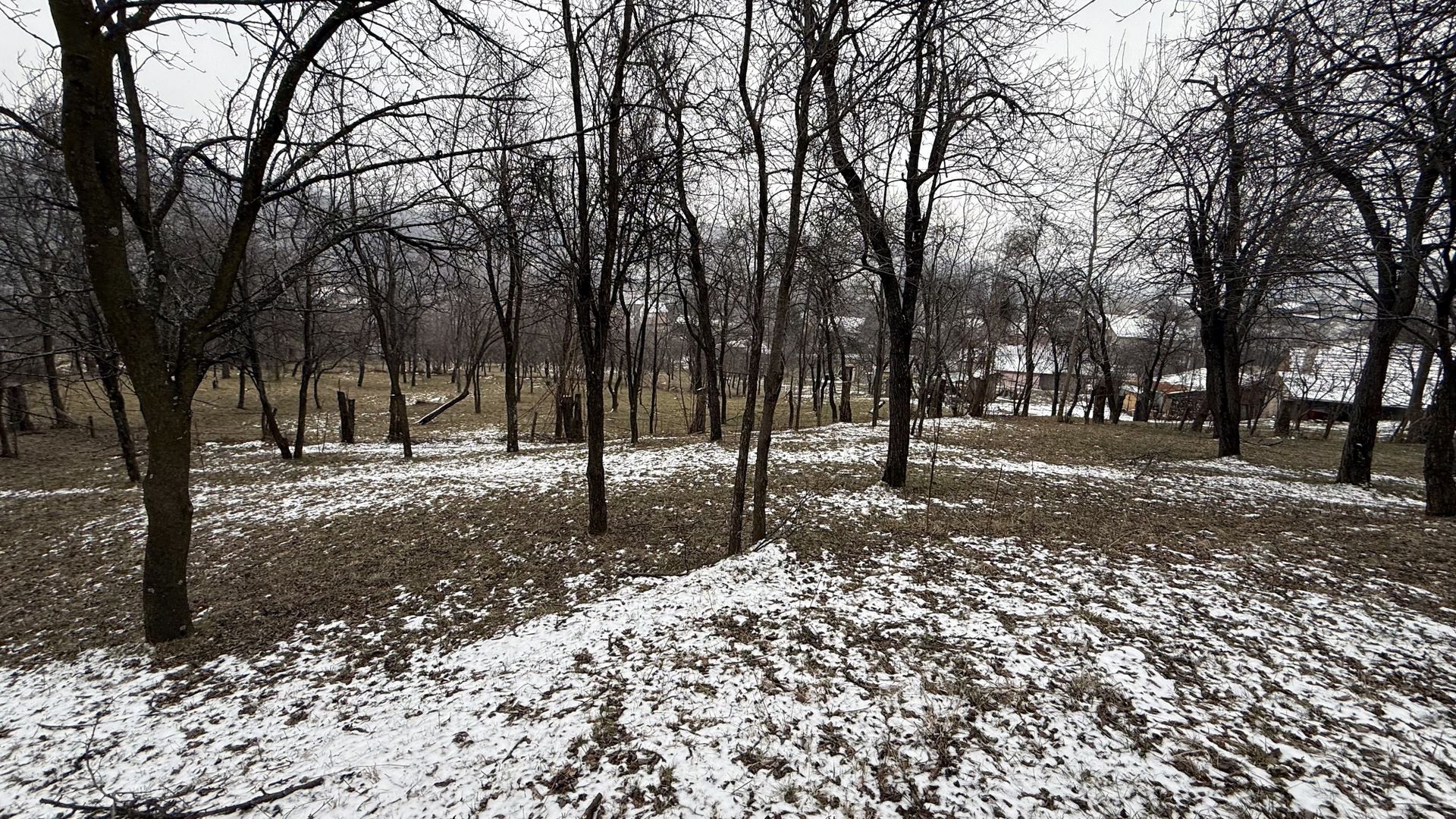 Teren 4652 mp cu izvor pe el, Lunca Mare, lângă păstrăvăria Doftana - Poză 2