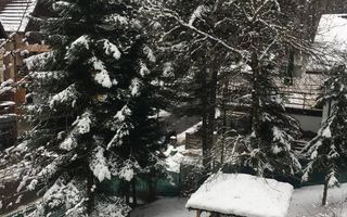 Oferta de top I Casa si Teren in Sinaia - Poză 14