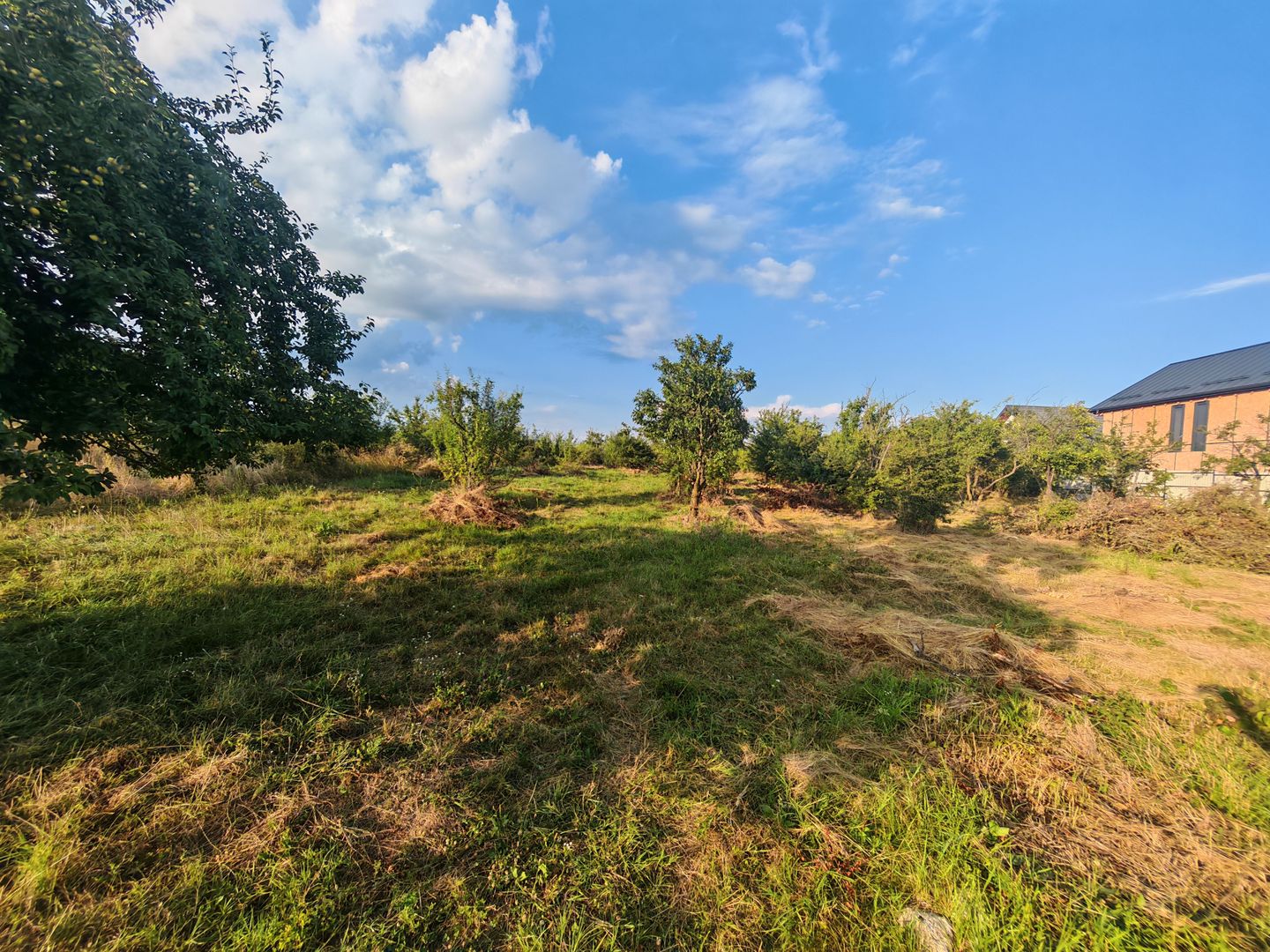 Teren intravilan 1.600 mp Mioveni – Zona Pruni - Poză 7
