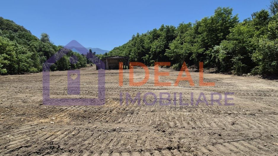 Teren intravilan 18.259 mp + construcție industrială, Mârșa - Poză 1