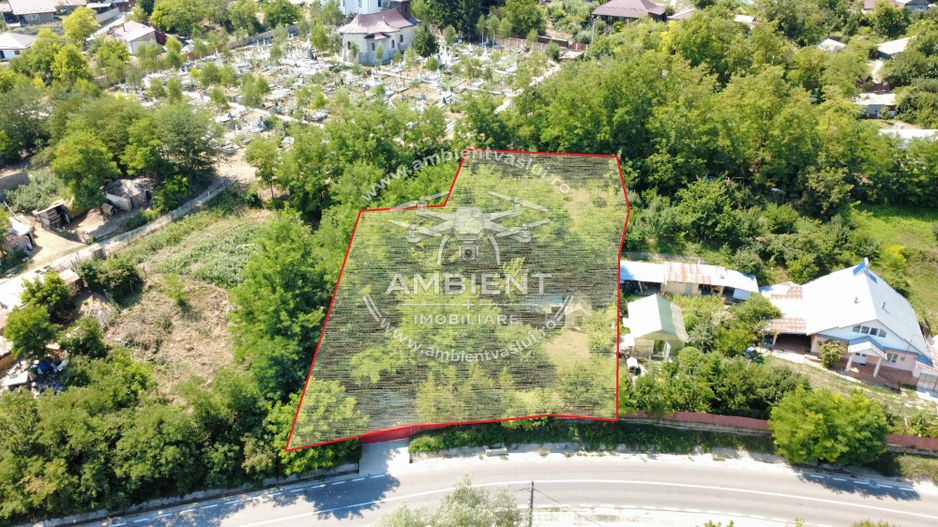 TEREN 1.200 mp în BRODOC - NATURĂ, INTIMITATE ȘI ACCES DIRECT LA ASFALT; - Poză 6