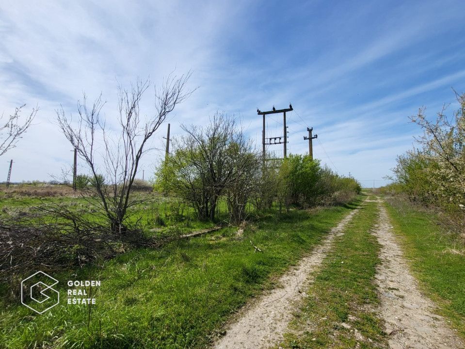 Teren extravilan, 22.5 ha, comuna Maureni - Poză 3