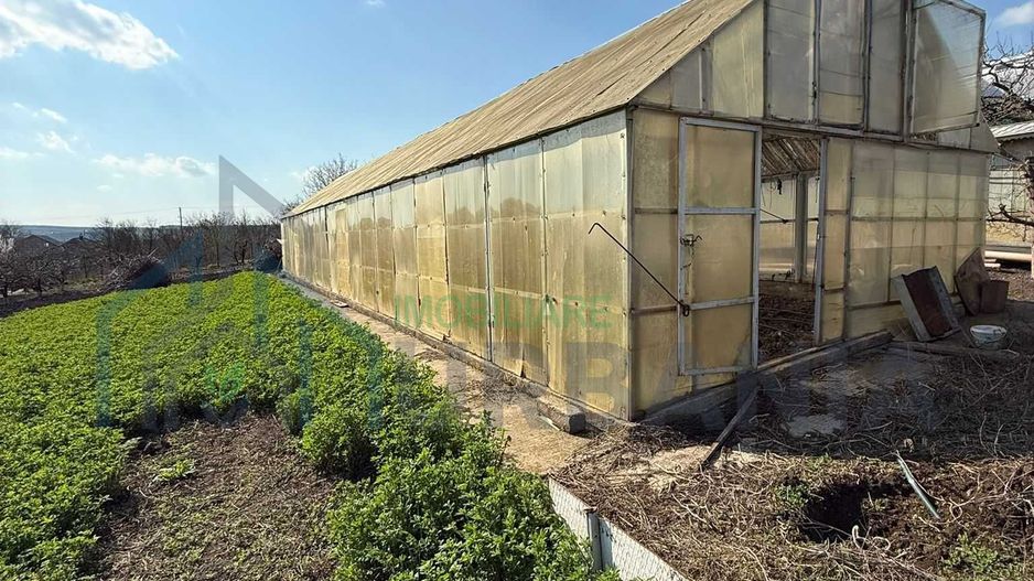 Teren cu seră și vie, Belcești, Iași - Poză 2