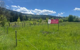 Teren intravilan de vânzare, în stațiunea Covasna. - Poză 3