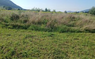 Teren intravilan cu proiect + fundație – Sărățel - Poză 3