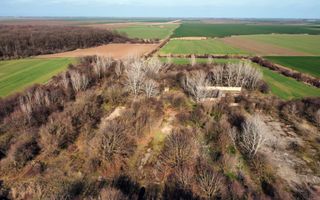 Ferma si livada de meri in judetul Ilfov - Poză 13