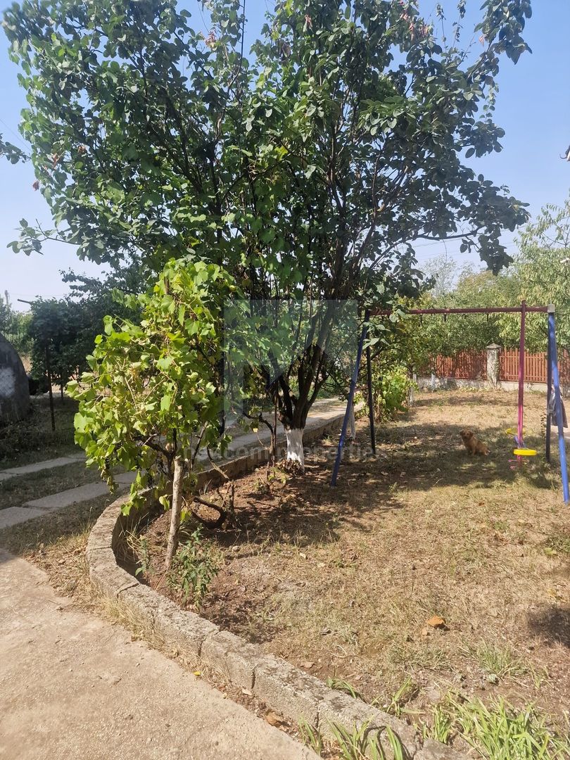 Vanzare Vila S+P+1E+Pod - Adunatii Copaceni - Poză 23