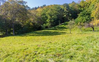 Teren | Intravilan | 2439 MPU | Fântânele - Poză 5