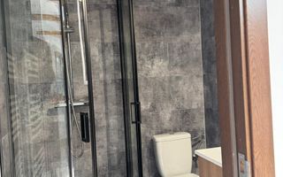 Pensiune/ Vila Valea Avrigului - Poză 13