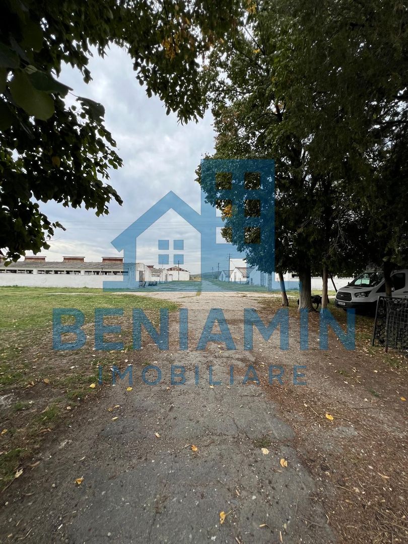 60.000mp Ferma de bovine, păsări, porcine, culturi agricole Diverse - Poză 9