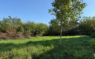 Teren cu PUZ, autorizabil imediat in cartierul Buna Ziua! - Poză 2