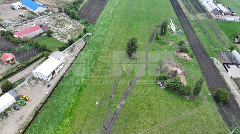 Teren 2648 mp | Strada Francei | Ideal hale sau investitie - Poză 12