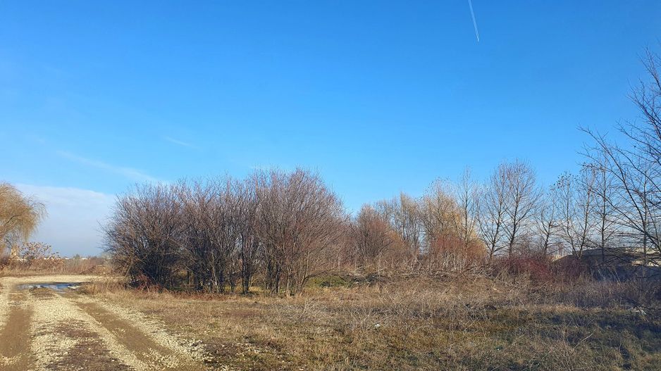 Teren pentru casă cu priveliște la lacul Buftea. - Poză 3