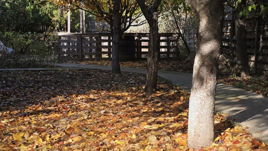 Exclusivitate! Proprietate Sendreni, zona linistita, 69.000 EUR - Poză 20