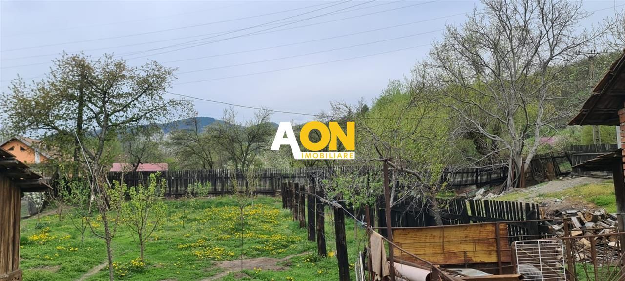 Casa 150 mp Teren 1715 mp Ampoita - Poză 20