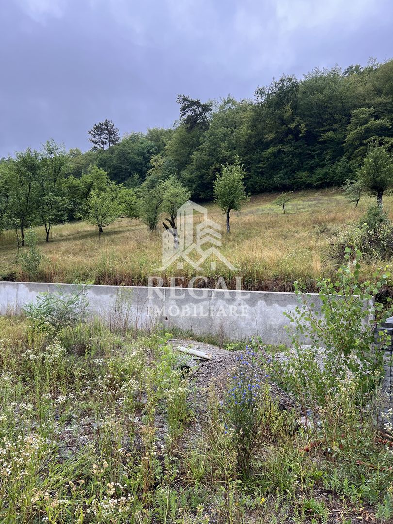 Proprietate cu potențial, într-un cadru natural de vis – 3581 mp teren - Poză 2