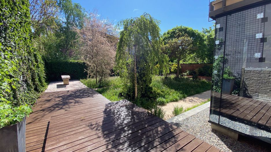 Zona Centrala  - - Poză 1