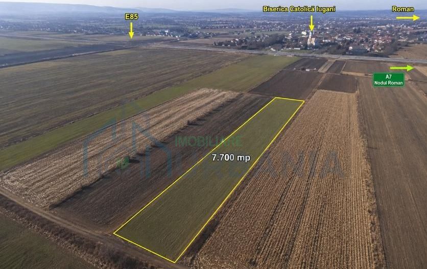Teren agricol 7.700 mp, Iugani, lângă E85 și Nodul A7 Roman – investiție - Poză 1