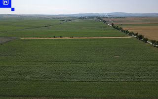 Teren - Orășeni Deal, Curtești | BOTOȘANI | 10.000mp - Poză 3