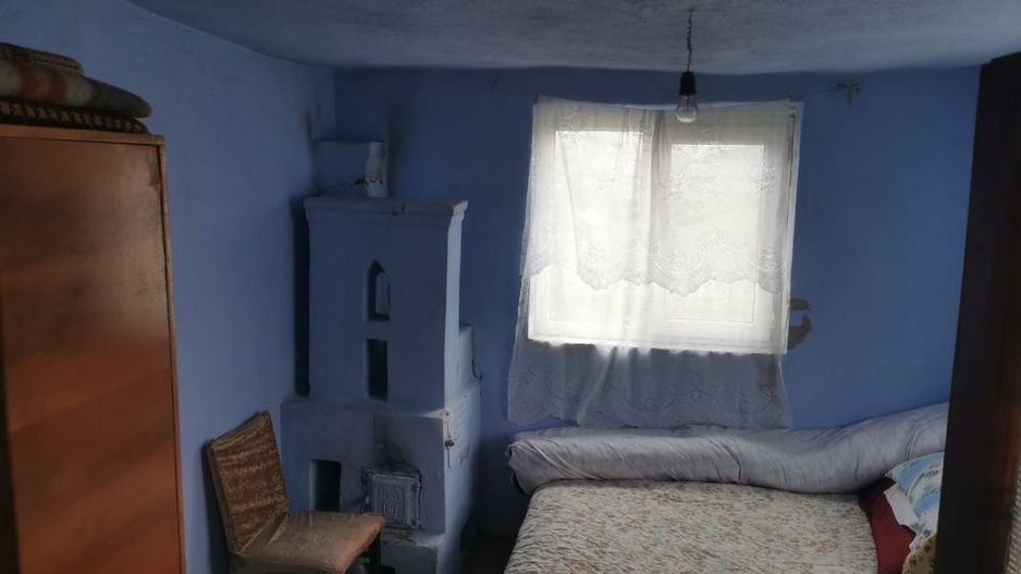De vanzare casa in Argetoaia cu teren 7.000 mp - Poză 8