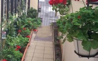 URGENT!,  singur curte, locuit/birouri, RANDAMENT 8,8%/AN, NEGOCIABIL - Poză 9