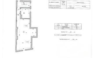 Vila spatioasa | Complet renovată | Central - Poză 34