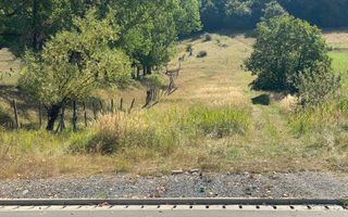 Teren intravilan 2600 mp - pretabil casa/investitie-Zona Aerodrom - Poză 6