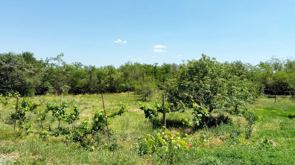 Casă de vanzare cu teren generos de 6.732 mp la E671 Leș, Bihor - Poză 11