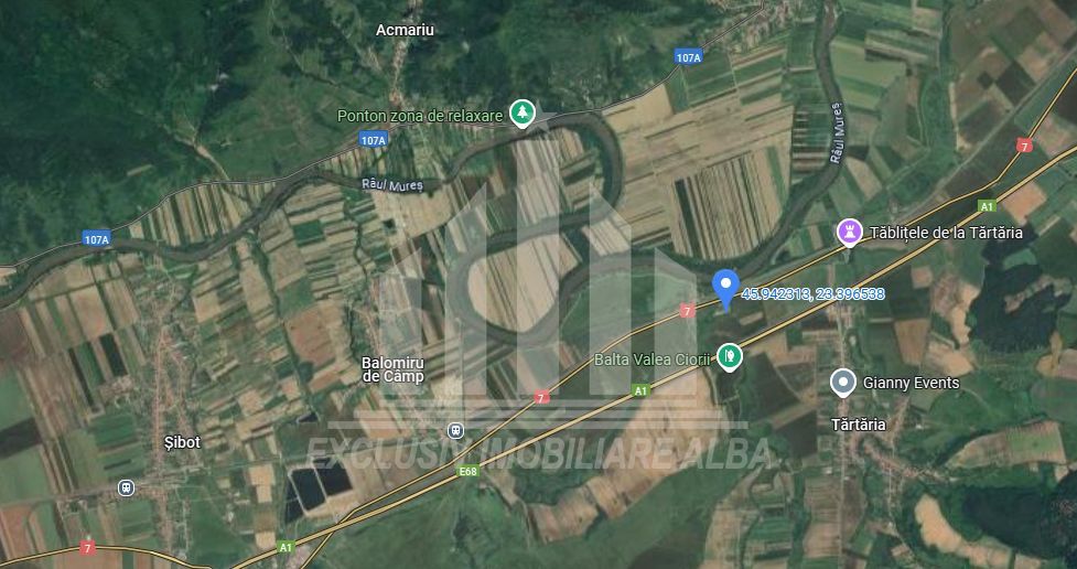 Teren agricol de vanzare, Salistea - Poză 1