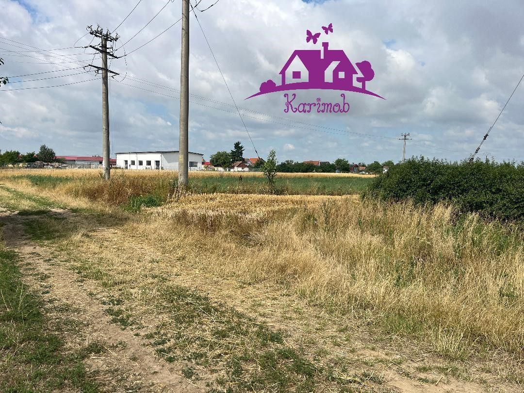 Teren la intrare in localitatea  Gepiu - Poză 3