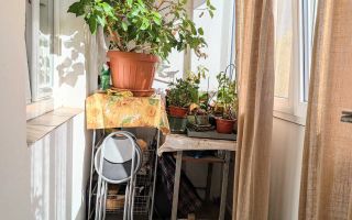 Apartament 2 camere Mosilor - Poză 8