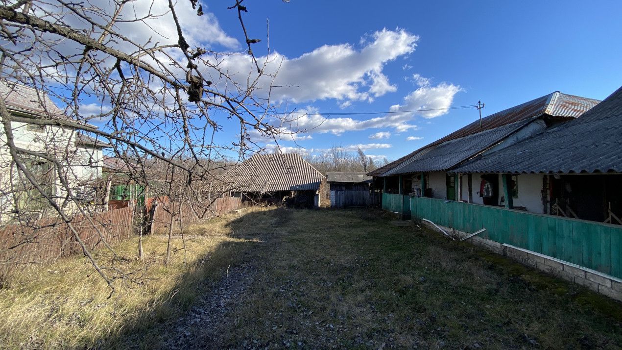 Casa traditionala argeseana – comuna Vedea, jud. Arges - Poză 10