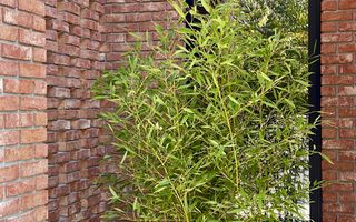 Casa Parter Exclusivista | Design Minimalist | Otopeni - Poză 22