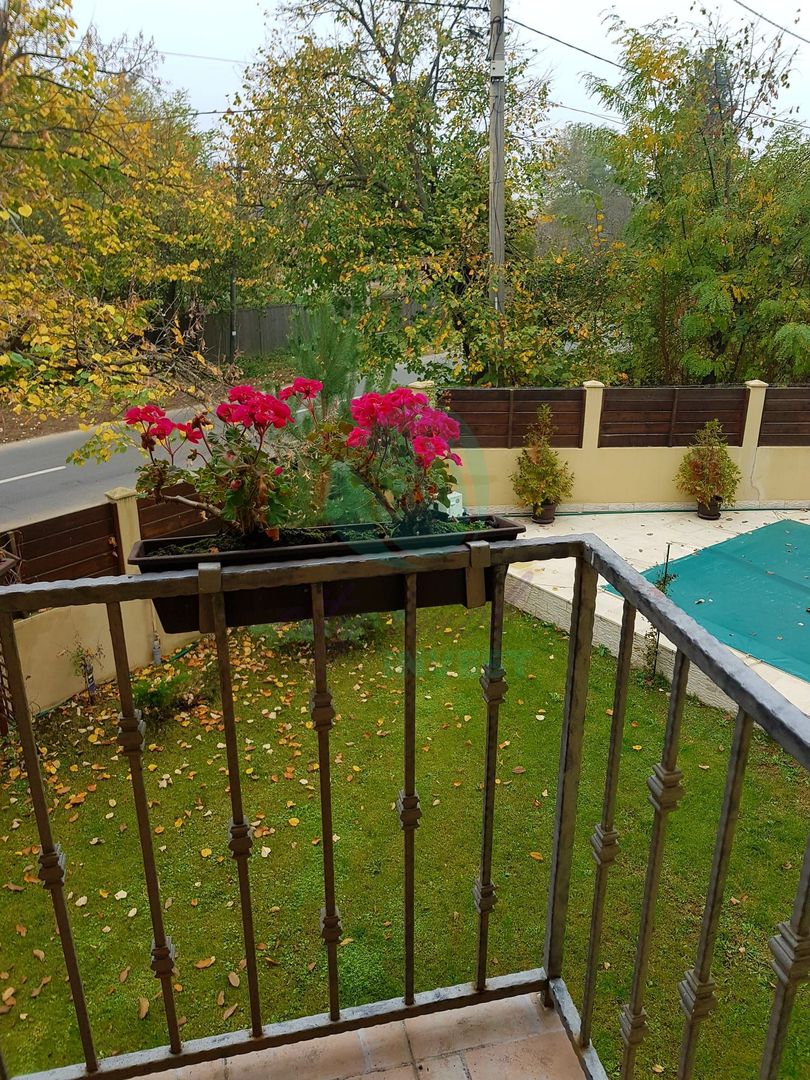 Silistea Snagovului-Casa de VACANTA  cu piscina - Poză 17