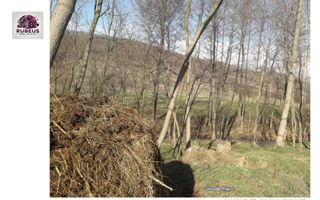 Oportunitate rară! 1 ha pădure Corcova – teren cu potențial real - Poză 5