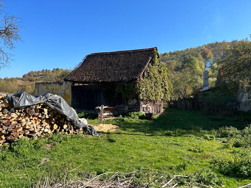 Teren intravilan Sinca Noua - Poză 4