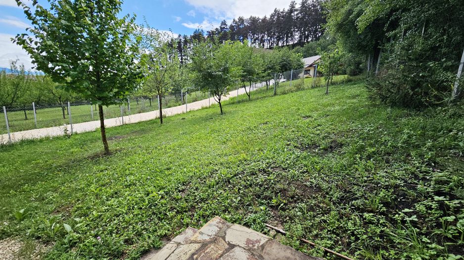 Vila noua-Sanpetru Dealul Lempes, zona verde si linistita - Poză 23