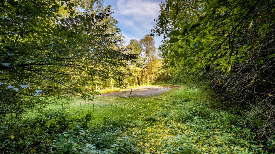 Domeniu în satul Căprioara - Poză 14