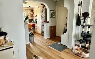 4 camerea Aviatiei - Poză 4