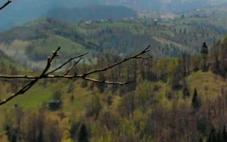teren intravilan in zona Magura Bran - Poză 20
