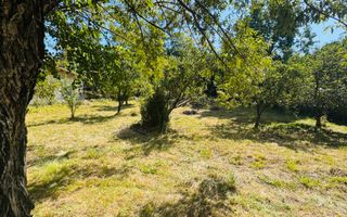 TEREN INTRAVILAN 3234 MP LEREȘTI VOINEȘTI ARGEȘ - Poză 5