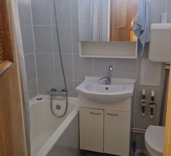 Închiriere 2 camere langa parc, zona linistita, luminos, mobilat complet - Poză 5