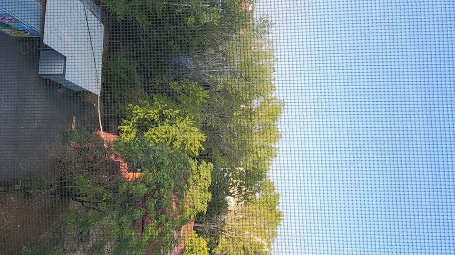 Domenii - Arcul de Triumf - Agronomie - Poză 2