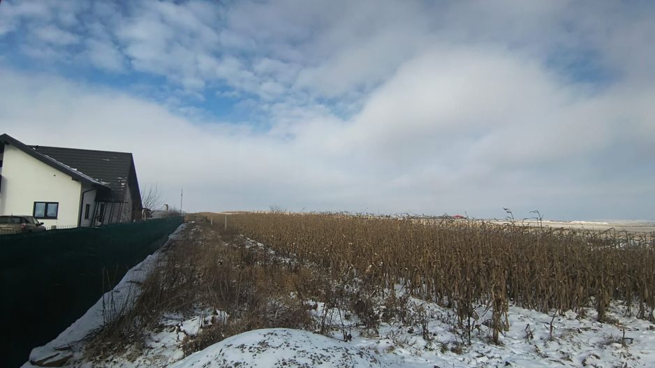 Teren de vânzare Șcheia | Sfantu Ilie | 3.361 mp - Poză 4